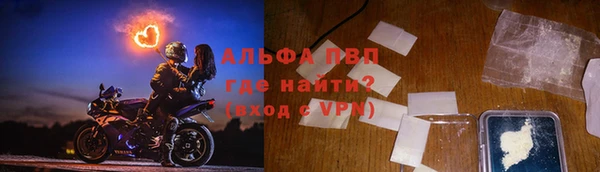 ГАЛЛЮЦИНОГЕННЫЕ ГРИБЫ Белоозёрский