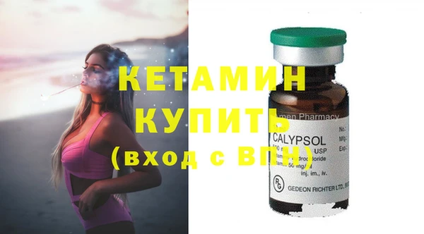 прущие грибы Балахна