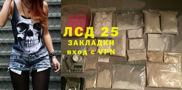 ГАЛЛЮЦИНОГЕННЫЕ ГРИБЫ Белоозёрский