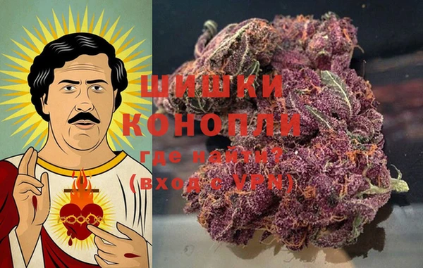 ГАЛЛЮЦИНОГЕННЫЕ ГРИБЫ Белоозёрский