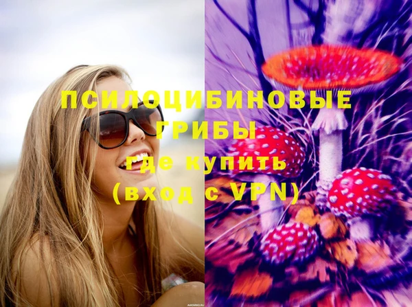 прущие грибы Балахна
