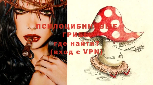 ПСИЛОЦИБИНОВЫЕ ГРИБЫ Беломорск