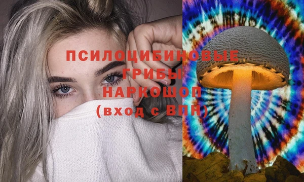 ПСИЛОЦИБИНОВЫЕ ГРИБЫ Беломорск