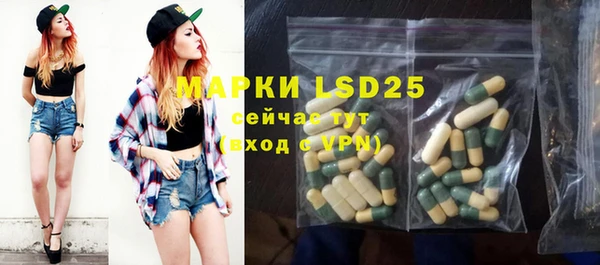 ПСИЛОЦИБИНОВЫЕ ГРИБЫ Беломорск